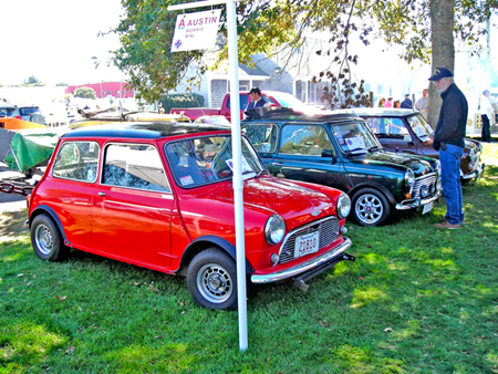 [1-Nov Falmouth Minis.jpg]